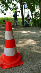 P1010447-web-169x300